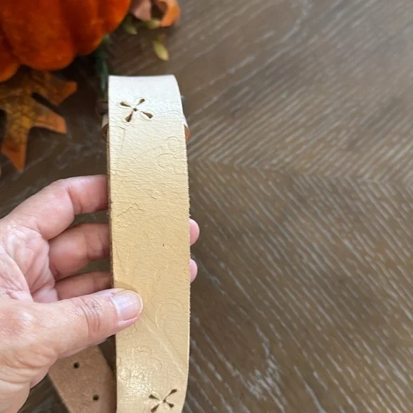 3 White Belts - Picture 9 of 9